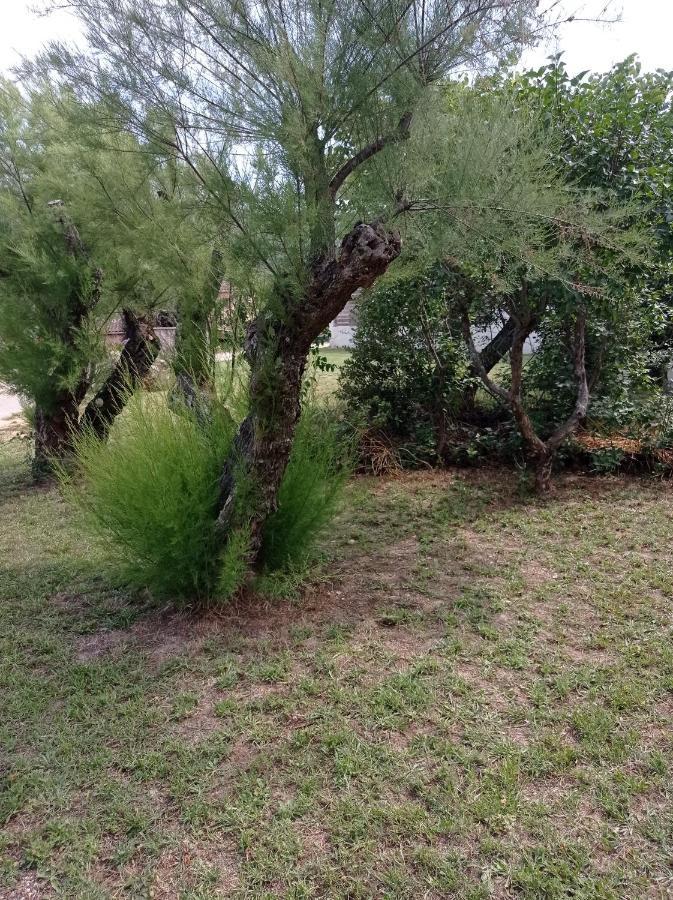 La Maison De Papou La Vigne A Nans Les Pins 83860 Esterno foto